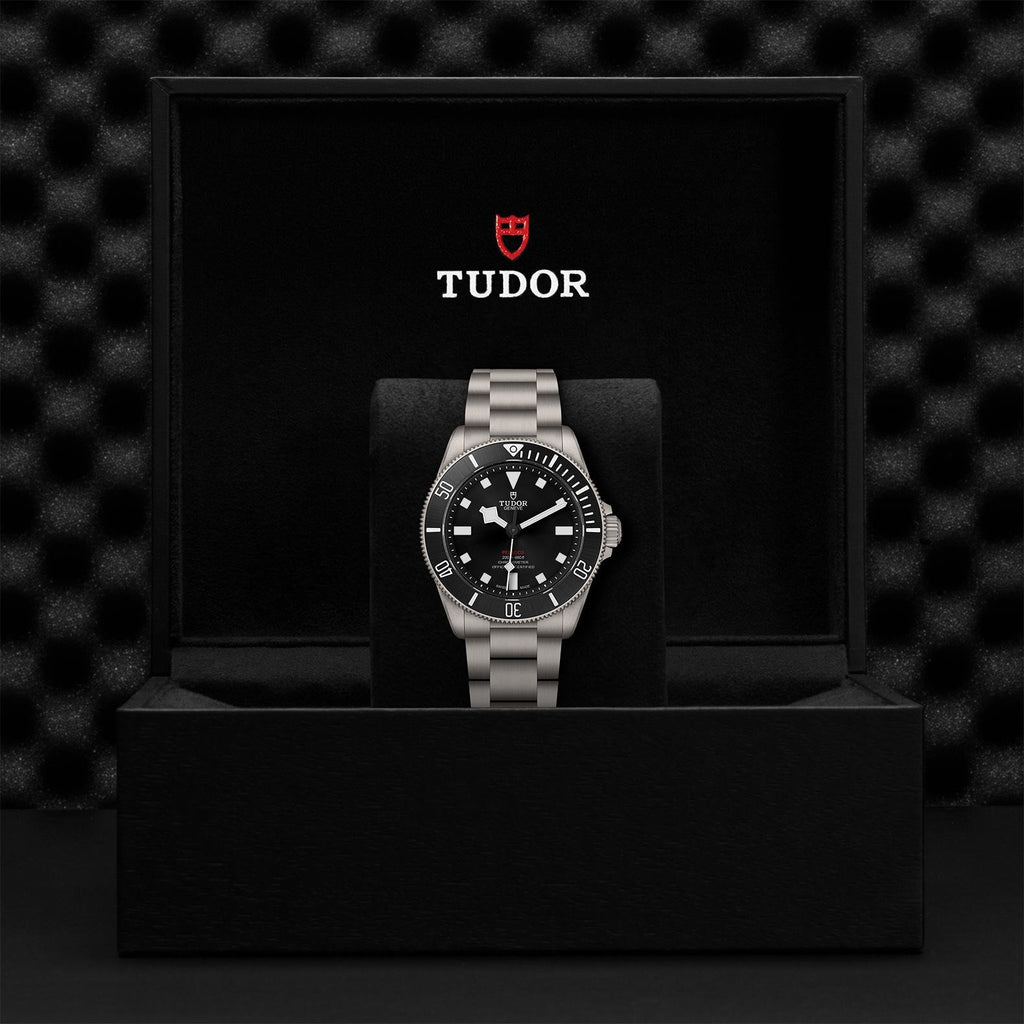 TUDOR Pelagos 39 M25407N-0001